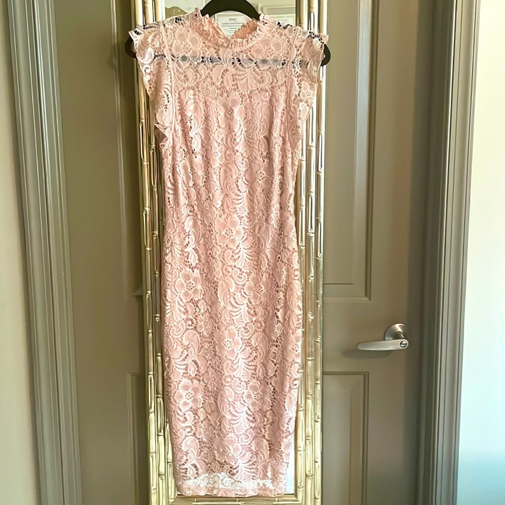 Enfocus Periwinkle Pink Lace Dress (6)